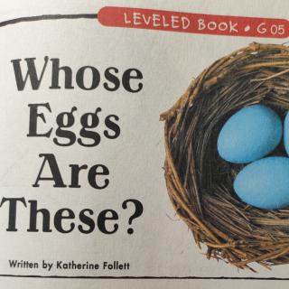 Whose eggs are these?