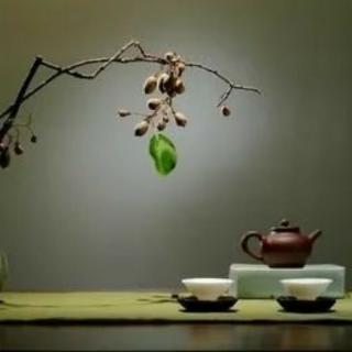 《喝茶，是一种信仰》文/杯小茶  诵/海英