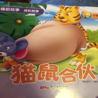 猫鼠合伙（晗）