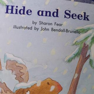 Hide and Seek