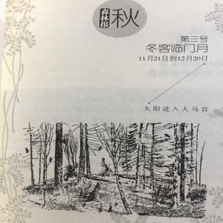 056《森林报》