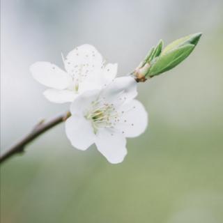 人生只需一人，知我冷暖，懂我悲欢🍀