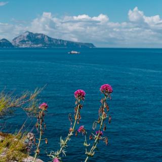 每日诗情，《面朝大海，春暖花开》海子，朗读雁影