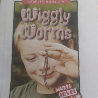 wigglY worms