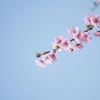 歌曲《清明雨》