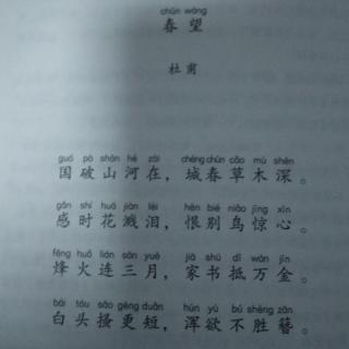 《最好的方法读唐诗》    杜甫是个倒霉蛋儿