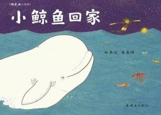 故事4：《小鲸鱼回家》