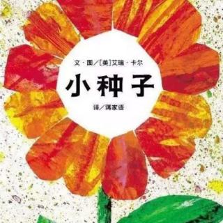 峥峥老师讲故事《小种子》（来自FM157849101）