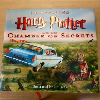 Harry Potter and the chamber of secrets191—196--Eric