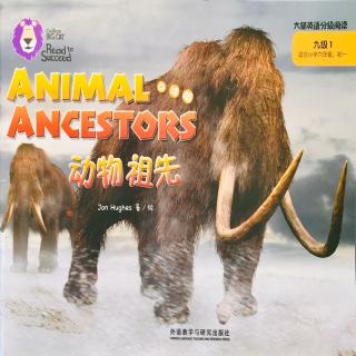 Animal Ancestors