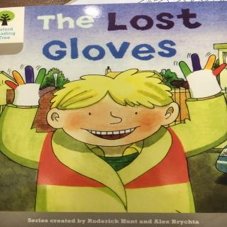 The lost gloves