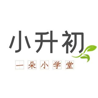 小升初真题一:1.基础知识 b