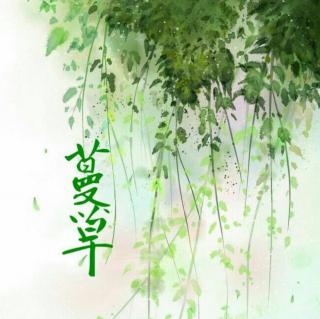 『光阴如绣，蔓草生香🌿』