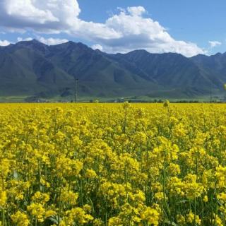 一定要守住这五条底线