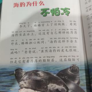 海豹为什么不怕冷