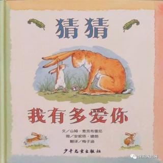 猜猜我有多爱你