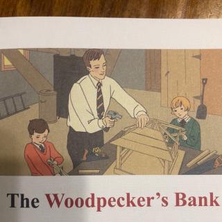 The Woodpecker's Bank