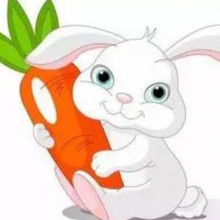 自编故事《小兔子找萝卜》