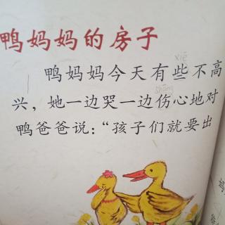 鸭妈妈的房子