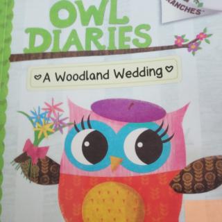 owl diaries_ a woodland wedding
