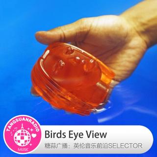  Birds Eye View·糖蒜爱音乐之The Selector 