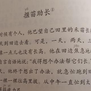 揠苗助长