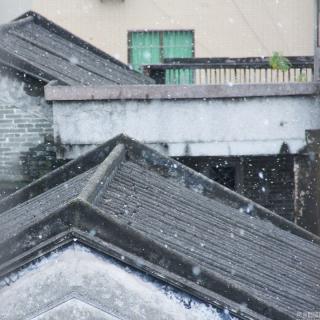 不下雪的广东-广东雨神