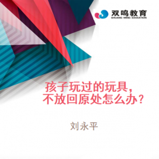 【雙鳴父母小課堂】孩子玩過的玩具，不放回原處怎么辦？