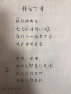 一株紫丁香