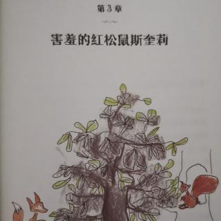 《那一年，叶子没有落下来第三章害羞红松鼠斯奎莉01》