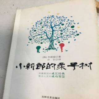 小新郎的栗子树第36页到第50页