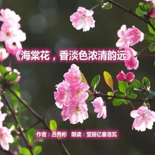 《海棠花 香淡色浓清韵远》作者：吕秀彬；朗读：莹丽亿番洛瓦