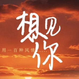 有一种想念，叫不打扰……