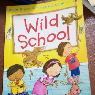 Wild School