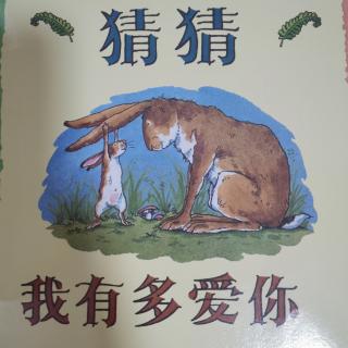 《猜猜我有多爱你》