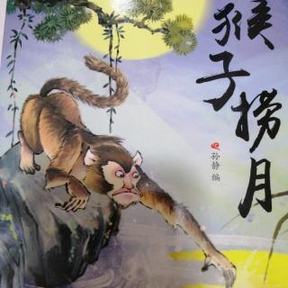 学府教育集团故事第174期《猴子🐒捞月》