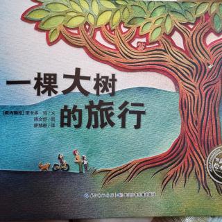 绘本《一棵大树的旅行》