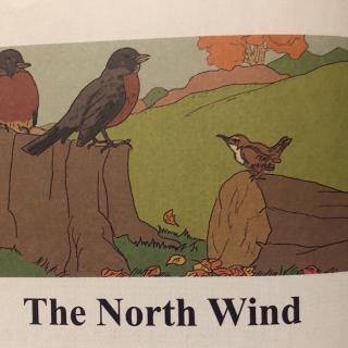 The North Wind