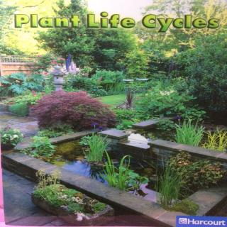 G2 Science LR Book37 - Plant Life Cycles