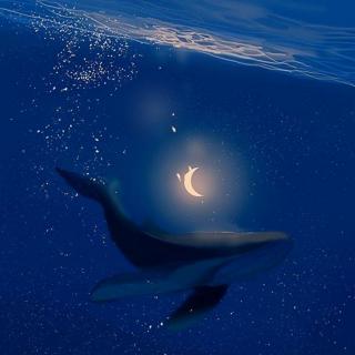 【晚梦翻唱】精选好听的治愈助眠歌曲―化身孤岛的鲸