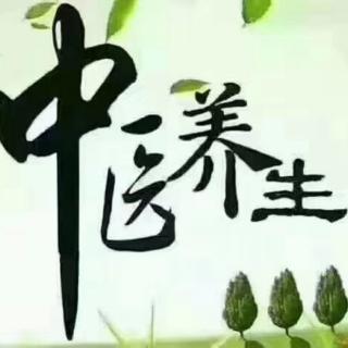 茶道养生，活力醒神