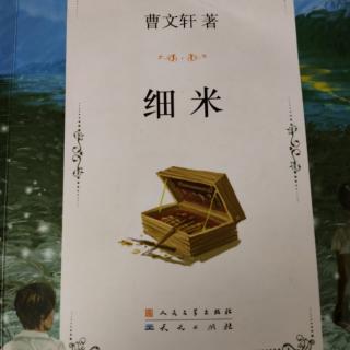 《细米》第六章6