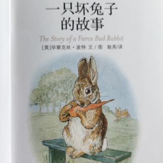 青青阿姨晚安故事——一只坏兔子的故事
