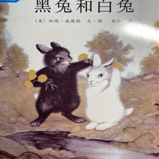 4⃣️0⃣️《黑兔和白兔》🐰