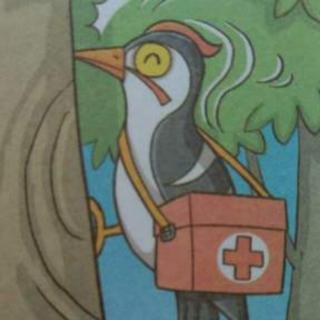 绘本故事《啄木鸟医生》