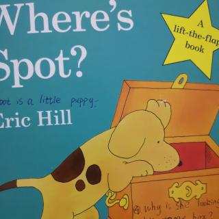 Where   is  Spot？