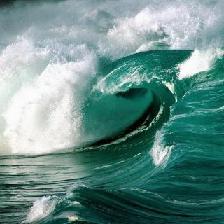 《波浪与海洋》-食指