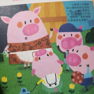 三只小猪🐷