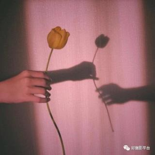 小情话 - s芽-原声Radio