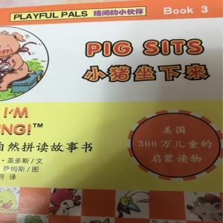 潼潼讲故事32:pig sits(小猪坐下来）